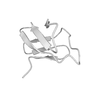 22070_6x65_DY_v1-1
Legionella pneumophila Dot/Icm T4SS