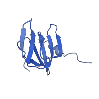 22070_6x65_EH_v1-1
Legionella pneumophila Dot/Icm T4SS