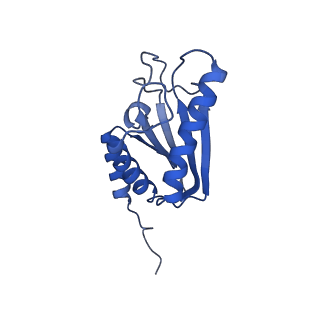 22070_6x65_EK_v1-1
Legionella pneumophila Dot/Icm T4SS