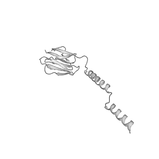 22070_6x65_EV_v1-1
Legionella pneumophila Dot/Icm T4SS