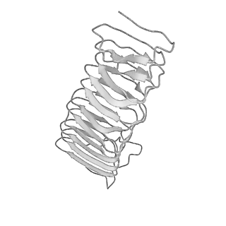 22070_6x65_EX_v1-1
Legionella pneumophila Dot/Icm T4SS