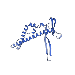 22070_6x65_FC_v1-1
Legionella pneumophila Dot/Icm T4SS