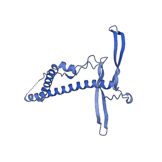 22070_6x65_GC_v1-1
Legionella pneumophila Dot/Icm T4SS