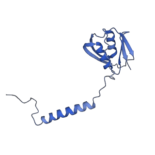 22070_6x65_GD_v1-1
Legionella pneumophila Dot/Icm T4SS