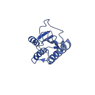 22070_6x65_GK_v1-1
Legionella pneumophila Dot/Icm T4SS