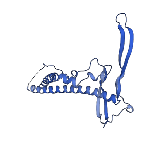 22070_6x65_HC_v1-1
Legionella pneumophila Dot/Icm T4SS