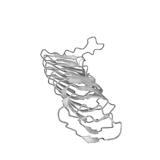 22070_6x65_HX_v1-1
Legionella pneumophila Dot/Icm T4SS