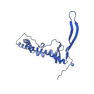 22070_6x65_IC_v1-1
Legionella pneumophila Dot/Icm T4SS