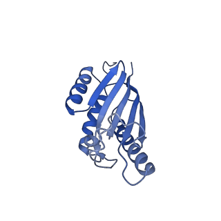 22070_6x65_IK_v1-1
Legionella pneumophila Dot/Icm T4SS