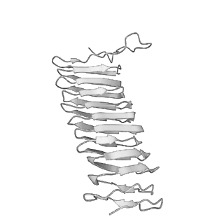 22070_6x65_IX_v1-1
Legionella pneumophila Dot/Icm T4SS