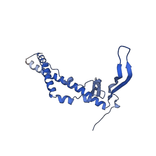 22070_6x65_JC_v1-1
Legionella pneumophila Dot/Icm T4SS