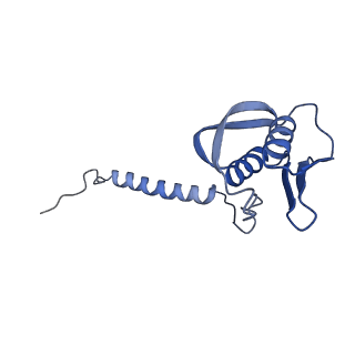 22070_6x65_JD_v1-1
Legionella pneumophila Dot/Icm T4SS