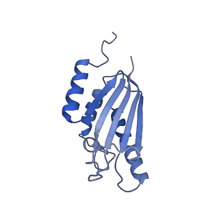 22070_6x65_JK_v1-1
Legionella pneumophila Dot/Icm T4SS