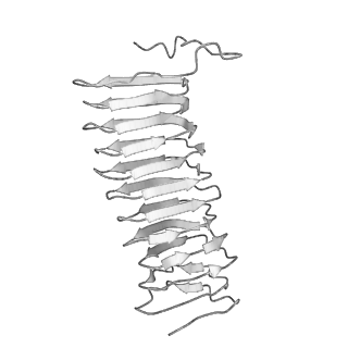 22070_6x65_JX_v1-1
Legionella pneumophila Dot/Icm T4SS