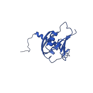 22070_6x65_Jd_v1-1
Legionella pneumophila Dot/Icm T4SS