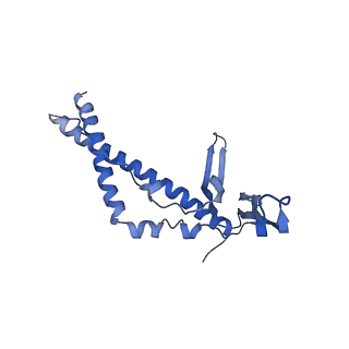 22070_6x65_KC_v1-1
Legionella pneumophila Dot/Icm T4SS