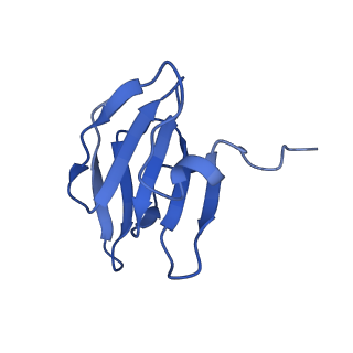 22070_6x65_KH_v1-1
Legionella pneumophila Dot/Icm T4SS