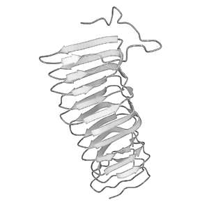 22070_6x65_KX_v1-1
Legionella pneumophila Dot/Icm T4SS