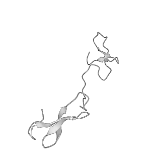 22070_6x65_KZ_v1-1
Legionella pneumophila Dot/Icm T4SS