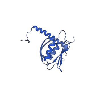 22070_6x65_Kd_v1-1
Legionella pneumophila Dot/Icm T4SS