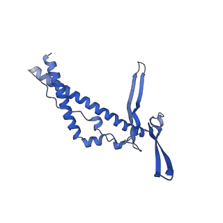 22070_6x65_LC_v1-1
Legionella pneumophila Dot/Icm T4SS