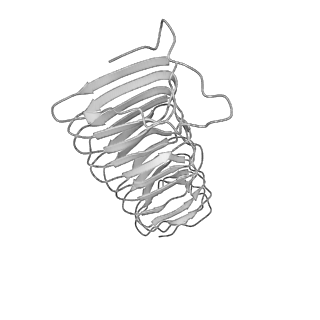 22070_6x65_LX_v1-1
Legionella pneumophila Dot/Icm T4SS