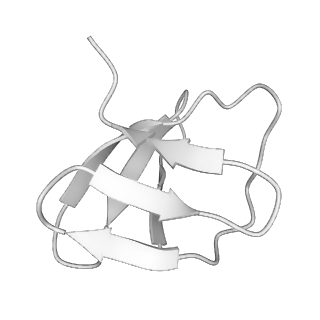 22070_6x65_LY_v1-1
Legionella pneumophila Dot/Icm T4SS