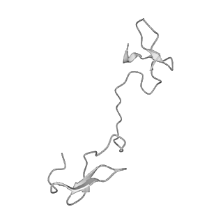 22070_6x65_LZ_v1-1
Legionella pneumophila Dot/Icm T4SS