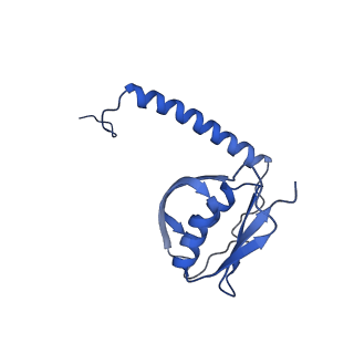 22070_6x65_Ld_v1-1
Legionella pneumophila Dot/Icm T4SS