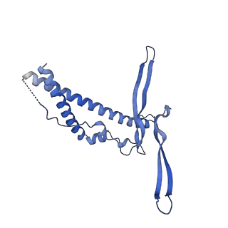 22070_6x65_MC_v1-1
Legionella pneumophila Dot/Icm T4SS