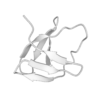 22070_6x65_MY_v1-1
Legionella pneumophila Dot/Icm T4SS