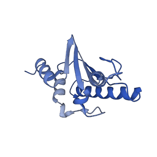 22070_6x65_N_v1-1
Legionella pneumophila Dot/Icm T4SS