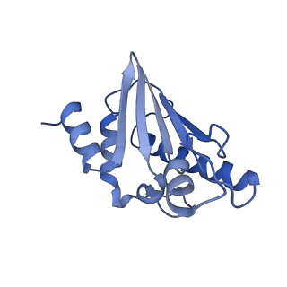 22070_6x65_O_v1-1
Legionella pneumophila Dot/Icm T4SS