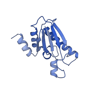 22070_6x65_Q_v1-1
Legionella pneumophila Dot/Icm T4SS