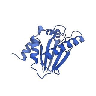 22070_6x65_V_v1-1
Legionella pneumophila Dot/Icm T4SS