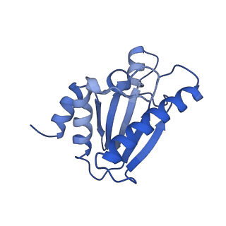 22070_6x65_W_v1-1
Legionella pneumophila Dot/Icm T4SS