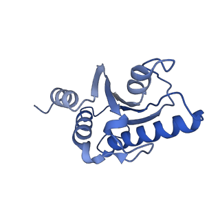 22070_6x65_Z_v1-1
Legionella pneumophila Dot/Icm T4SS