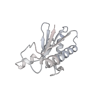 22071_6x66_BA_v2-0
Legionella pneumophila dDot T4SS OMC