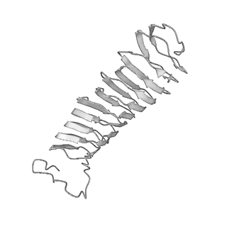 22071_6x66_BX_v2-0
Legionella pneumophila dDot T4SS OMC