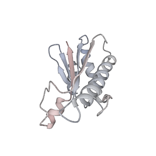 22071_6x66_CA_v2-0
Legionella pneumophila dDot T4SS OMC