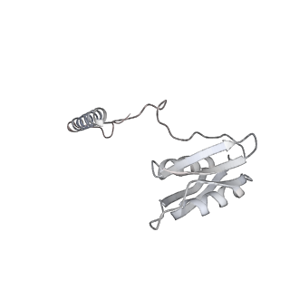 22071_6x66_CD_v2-0
Legionella pneumophila dDot T4SS OMC