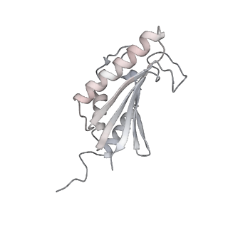 22071_6x66_CK_v2-0
Legionella pneumophila dDot T4SS OMC