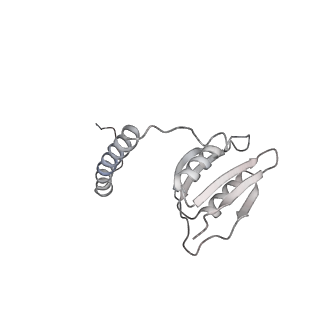 22071_6x66_Cd_v2-0
Legionella pneumophila dDot T4SS OMC