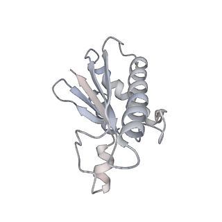 22071_6x66_DA_v2-0
Legionella pneumophila dDot T4SS OMC