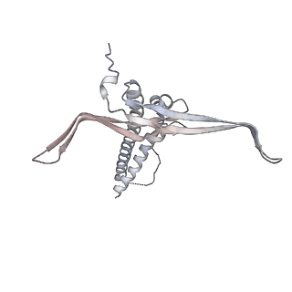 22071_6x66_DC_v2-0
Legionella pneumophila dDot T4SS OMC