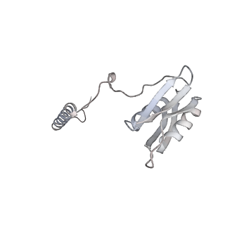 22071_6x66_DD_v2-0
Legionella pneumophila dDot T4SS OMC