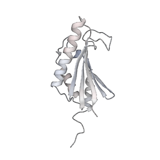 22071_6x66_DK_v1-0
Legionella pneumophila dDot T4SS OMC
