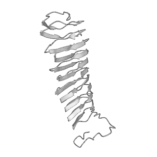 22071_6x66_DX_v2-0
Legionella pneumophila dDot T4SS OMC