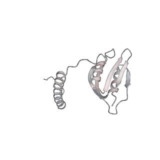 22071_6x66_Dd_v2-0
Legionella pneumophila dDot T4SS OMC