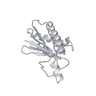 22071_6x66_EA_v2-0
Legionella pneumophila dDot T4SS OMC